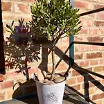 Appartement Schwalbenwohnung Gommern