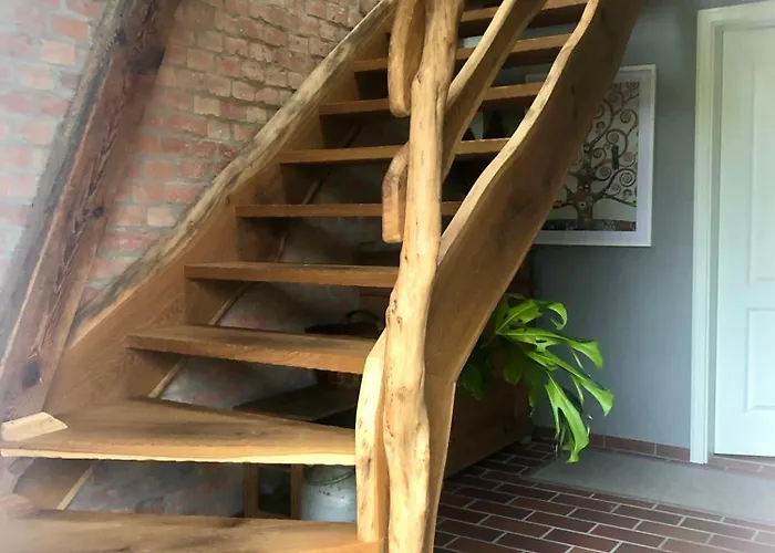 Schwalbenwohnung شقة