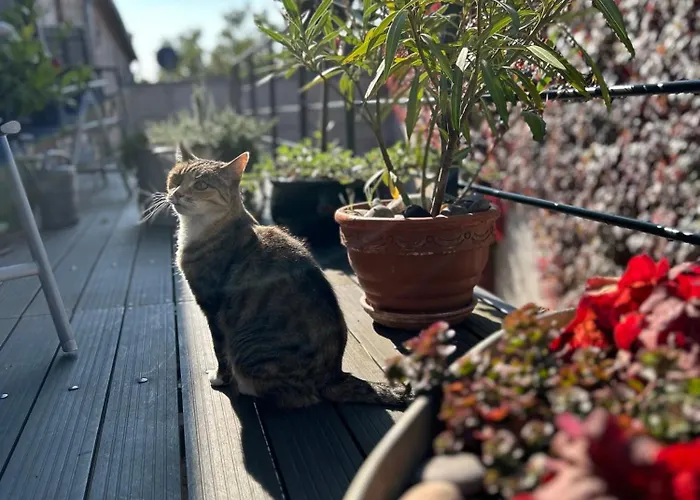 Schwalbenwohnung アパート